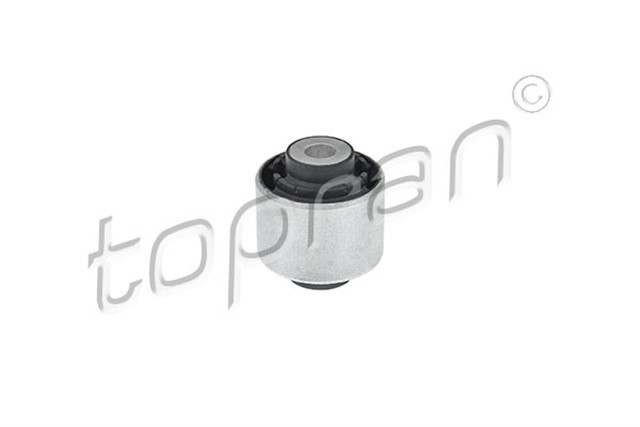 SALINCAK BURCU ALT DUZ KOL ARKA A4 - A5 - Q5 08 - 