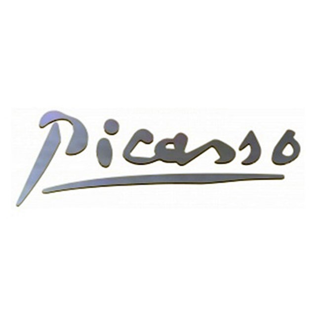 YAZI PICASSO C4 PC