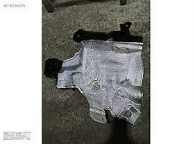 GOSUS SACI IZOLASYONU