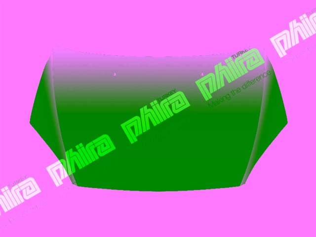 KAPUT ON SAC FORD FOCUS 2004 - 2008