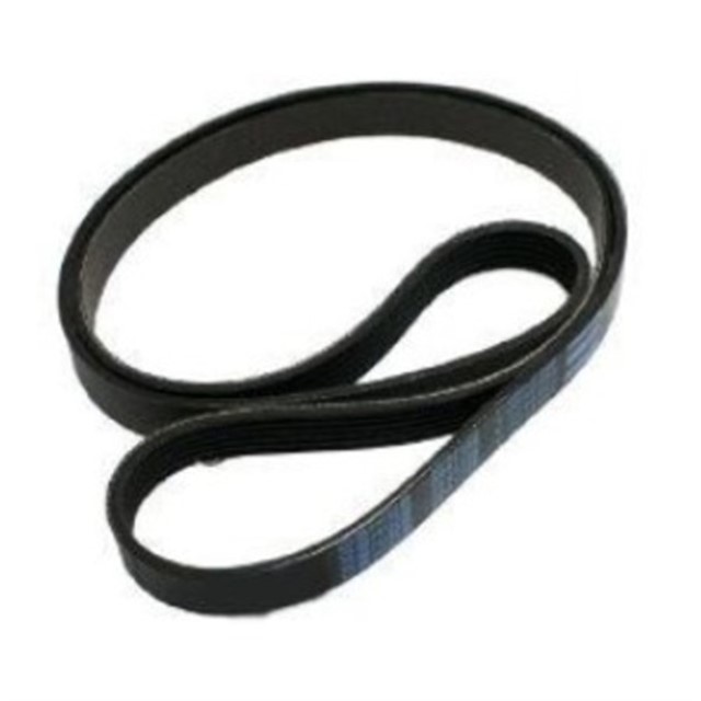 KANALLI KAYIS 5 KNL.R11 - FLASH - R21