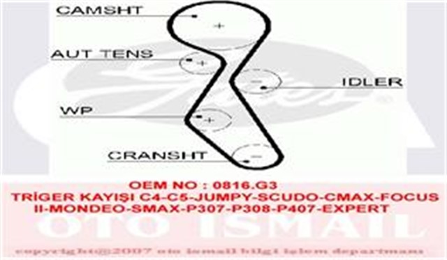 TRIGER KAYISI 116X254 C4 - C5 - JUMPY - SCUDO - CMAX - FOCUS II - MONDEO - SMAX - P307 - P308 - P407 - EXPERT 2.0 HDI