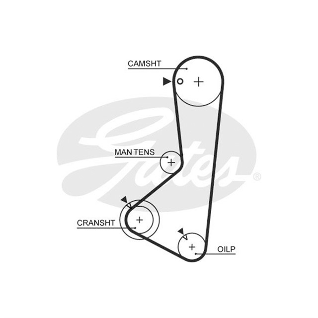X TRIGER KAYISI 122X240 HYUNDAI SONATA 1.8 8V 88 - 98 MITSUBISHI GALANT 2.0 8V 88 - 92 CT802