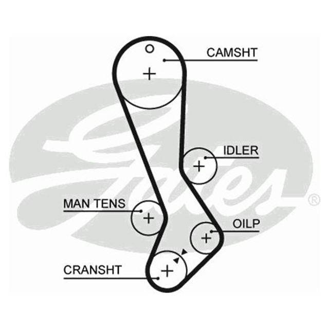TRIGER KAYISI 129X270 LEXUS IS200 2.0 24V 99 - 05 TOYOTA CT876