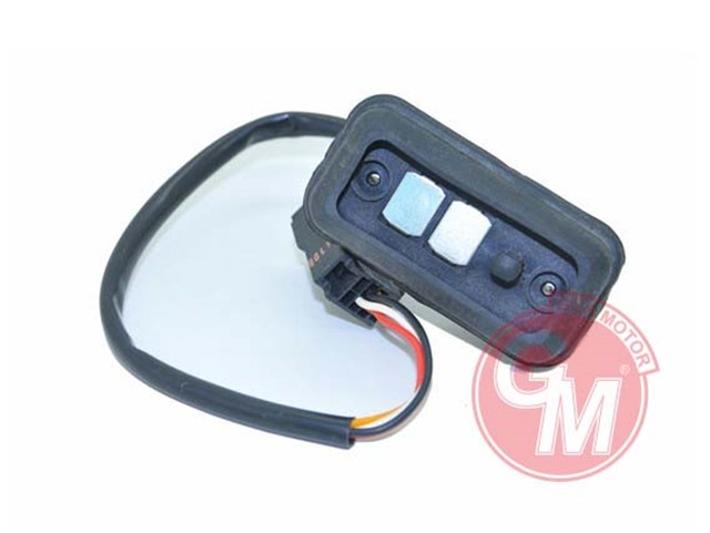 SURGULU KAPI ISIK ROLESI SAG RENAULT KANGO