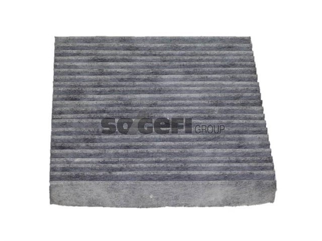 POLEN FILTRESI LGN II 1.6 - 1.8 - 2.0 01 1.9 DCI 01 KARBONLU