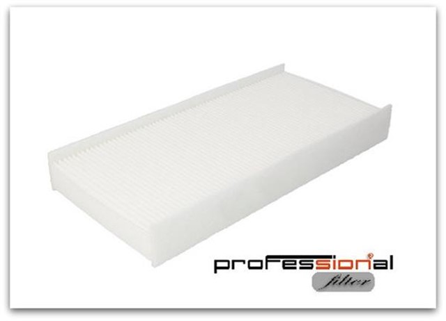 POLEN FILTRESI P407 - C5 04/04 CU3240