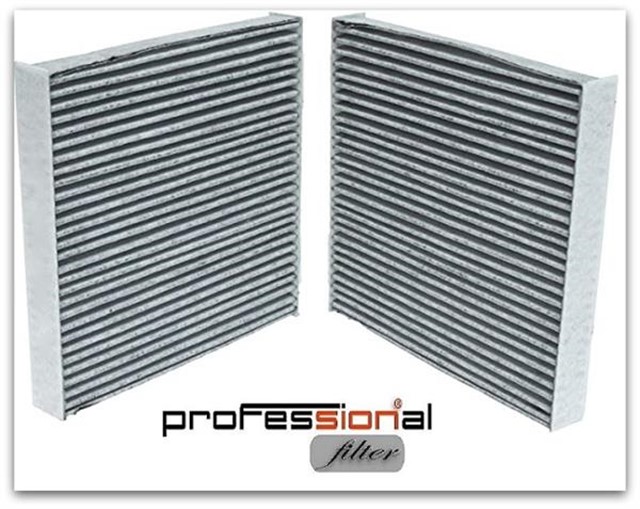 POLEN FILTRESI X2 BMW F25 F26 KARBONLU