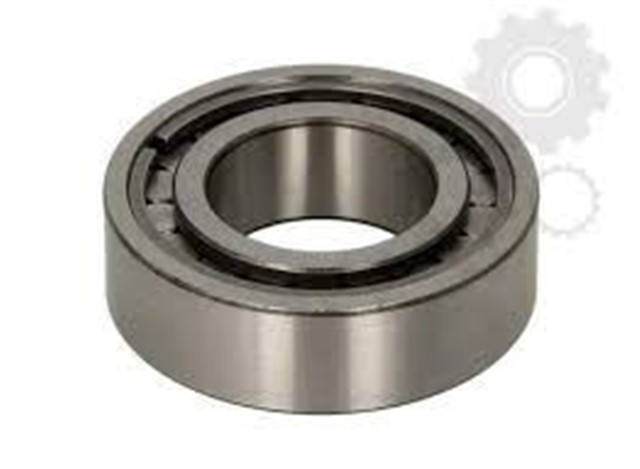 SANZUMAN RULMANI DUCATO 3.0 MJTD 94