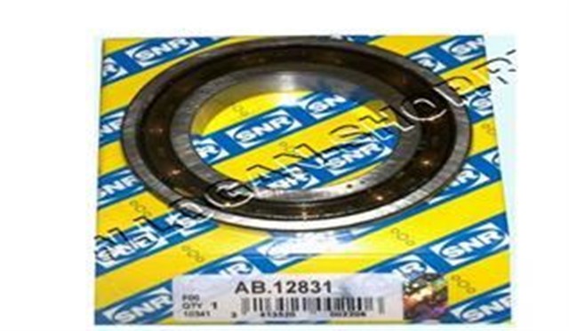 DEFRANSIYEL RULMANI KUCUK R9 - R11 - SAXO - P106 I - II - LOGAN X