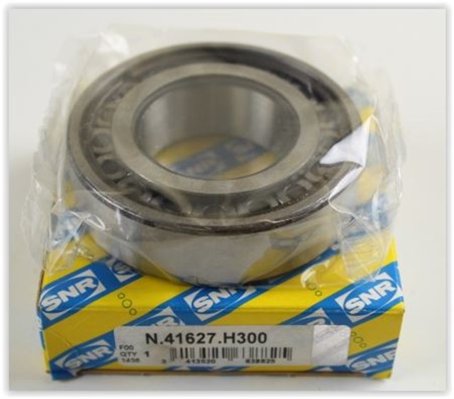 N41627H300 SANZUMAN RULMANI DUCATO - C4