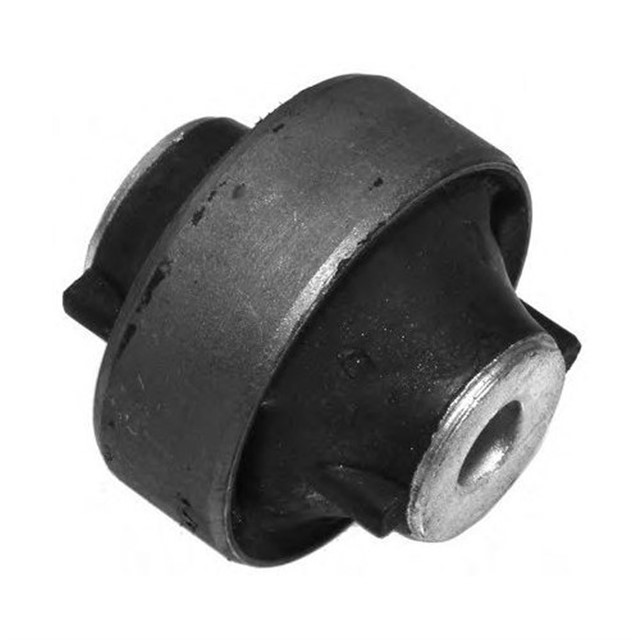 SALINCAK BURCU DIS KNG III 08