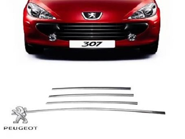 ON TAMPON NIKELAJ TAKIM P307