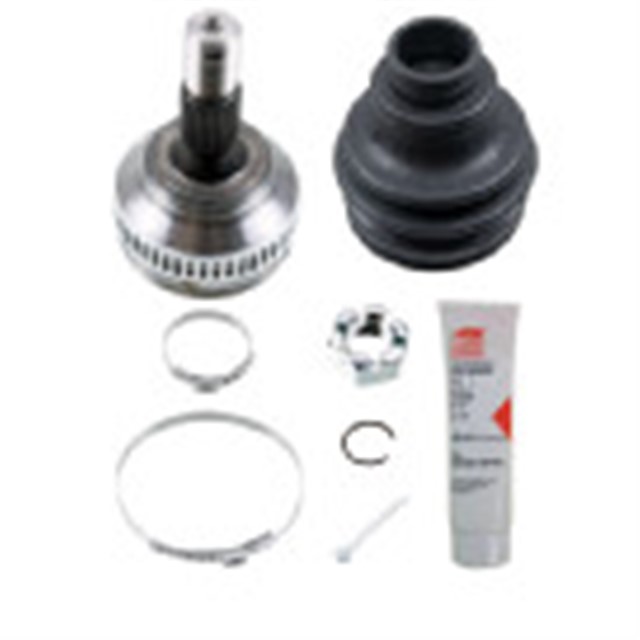 AKS KAFASI SETI CITRO N