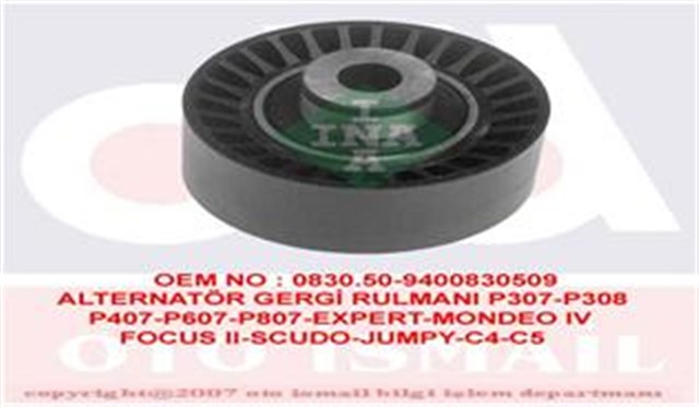 EKSANTRIK GERGI RULMANI P307 - 308 - 407 - 508 - 607 - 807 - EXPERT - C4 - C5 - C6 - C8 - JUMPY - SCUDO - FOCUS II - III 2.0HDI