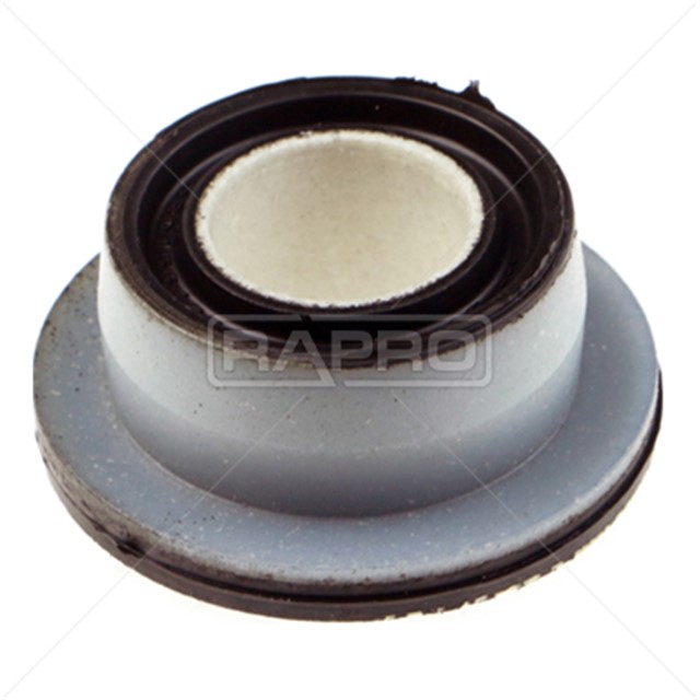 SALINCAK BURCU ON IVECO DAILY V