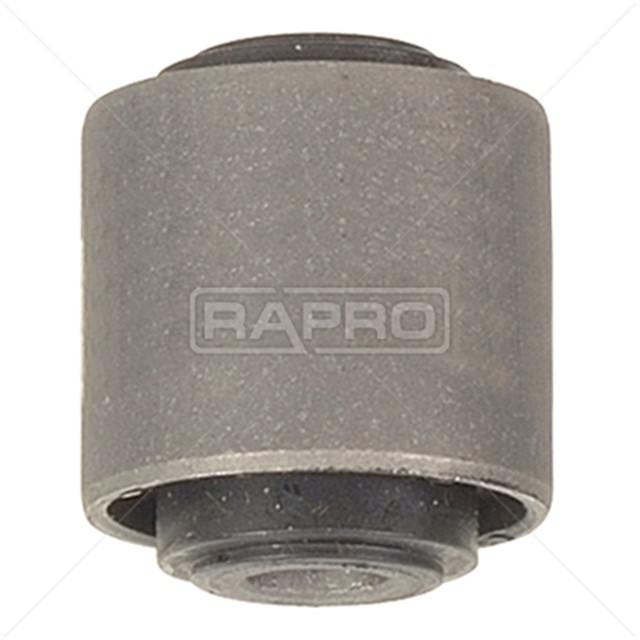 SALINCAK BURCU ON RENAULT CLIO I