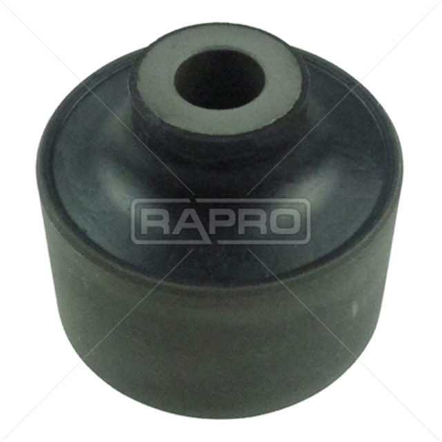 SALINCAK BURCU BUYUK RENAULT MASTER III