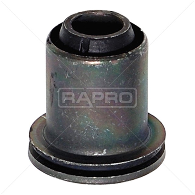 SALINCAK BURCU ON NISSAN INTERSTAR