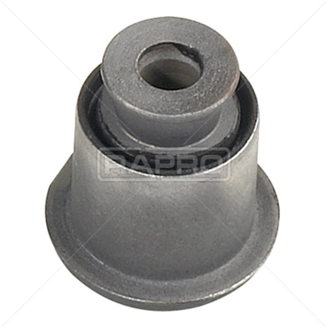 SALINCAK BURCU CITROEN AX