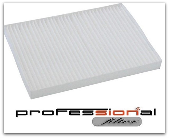 POLEN FILTRESI ANTARA 06 / CAPTIVA 06