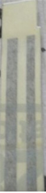 CEVRE SUS BANDI TAKIM R21 MANAGER