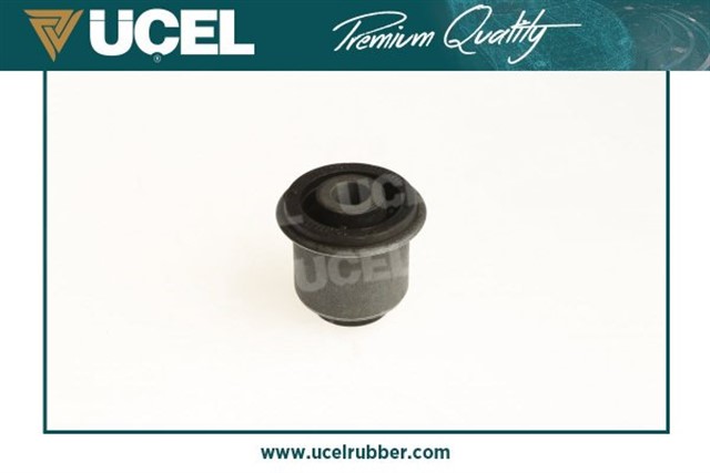 SALINCAK BURCU SETLI RENAULT TWINGO