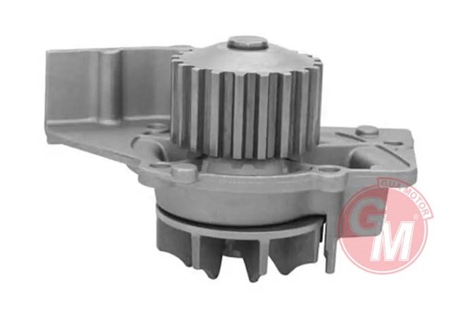 DEVIRDAIM SU POMPASI PEUGEOT PARTNER - BERLINGO - C5 - 307 - EXPERT - BOXER - JUMPY - JUMPER - SCUDO - DUCATO 2.0HDI DW10 - 1201.C4 - - 1741067G00