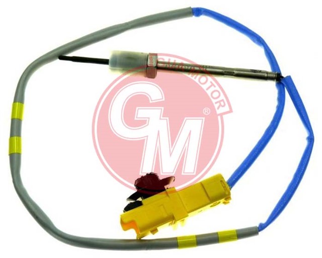 EGT TURBO HAVA SICAKLIK SENSORU RENAULT LAGUNA II - III - MGN II 2.0 DCI M9R 06 8200640532