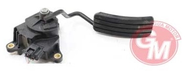 GAZ PEDALI MEGANE III FLUENCE KANGO III CLIO III