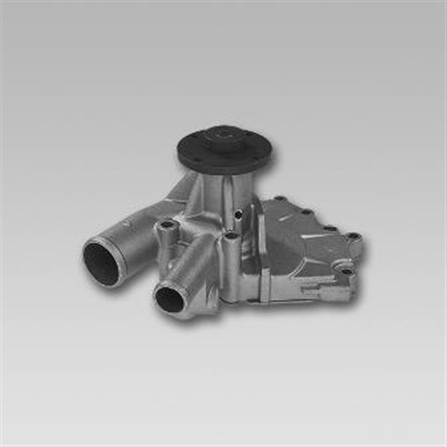 WATER PUMP - CORR. 21010.9C600