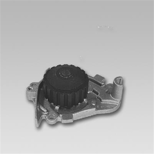 WATER PUMP - CORR. 21010 - 01B25
