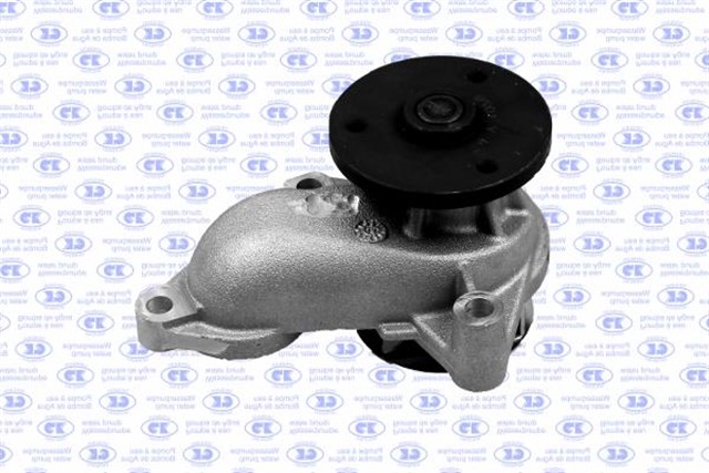 WATER PUMP - CORR.25100 - 2A200