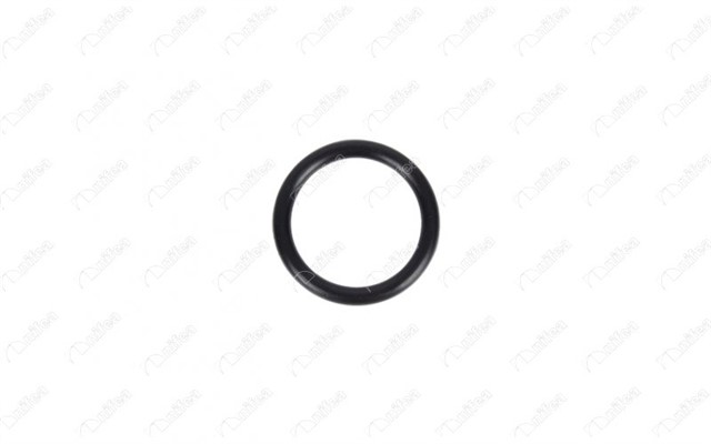 DEVIRDAIM BORUSU CONTASI MEGANE I - II - III SCENIC I - II - III KANGOO I - II 1.6 CLIO II 1.6 28MM X 4MM