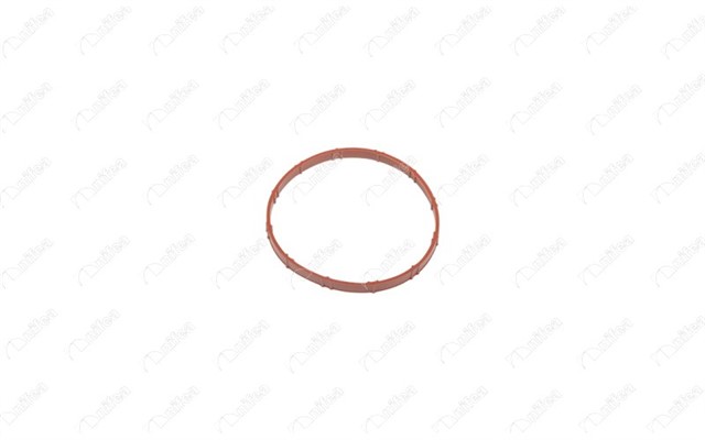 GAZ KELEBEGI CONTASI BMW 1 F20 114 I N13 B16 A 12 - 15