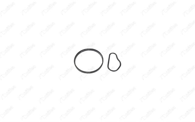 VAKUM POMPA CONTASI CITROEN BERLINGO 1.6 HDI 75 16V 08