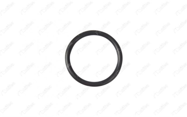 EMME MANIFOLD CONTASI CITROEN/BERLINGO FIRST PANELVAN/VAN 1.9 D 70 4WD MBWJZ. MCWJZ 98 - 07