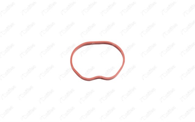 EMME MANIFOLD TAKIM CONTA SILIKON FOCUS II 1.6 16V BENZINLI 07