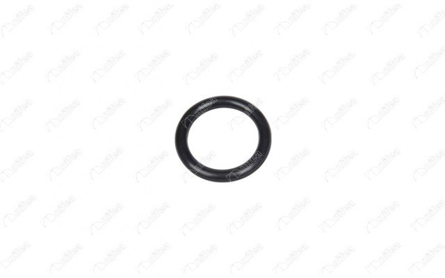 EMME MANIFOLD CONTASI P107 - P206 - P307 - BIPPER - NEMO - C1 - C2 - C3 - FIESTA - FUSION 1.4 HDI DV4