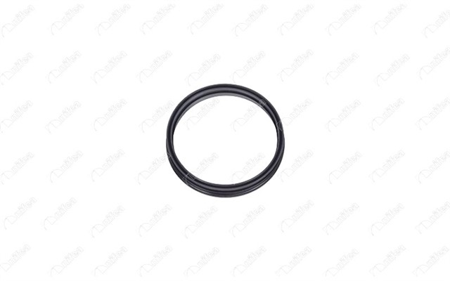 DEPO SAMANDIRA CONTASI FORD FOCUS II 1.6 - 1.8 - 2.0 FIESTA V - VI 1.4 TDCI - 1.6 TDCI