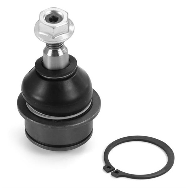 ROTIL ON SOL - SAG ALT FREEMONT JC 2011 - 