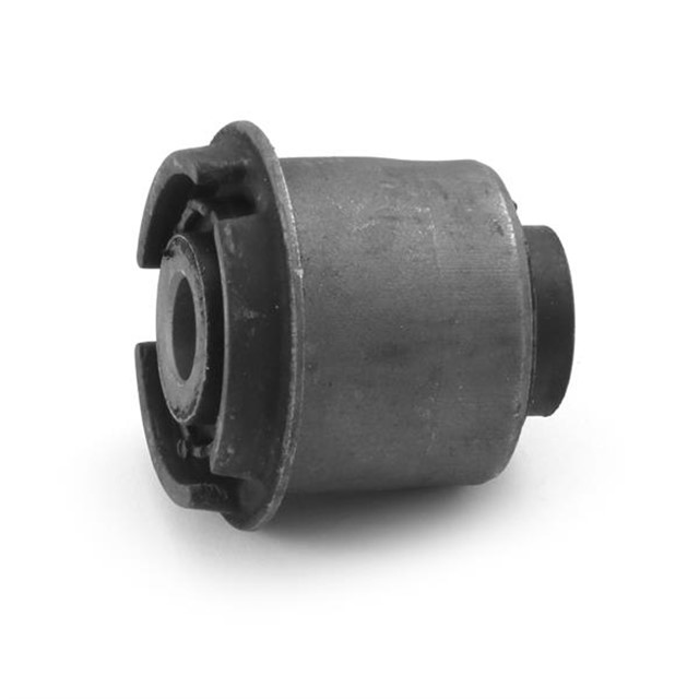 SALINCAK BURCU ON UST RANGER - 2011 - 