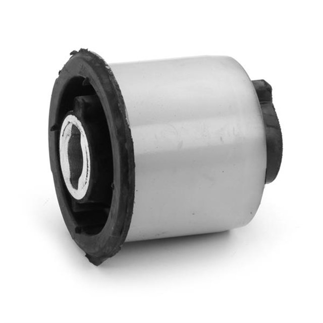 CITRO N - PEUGEOT ARKA TRAVERS BURCU