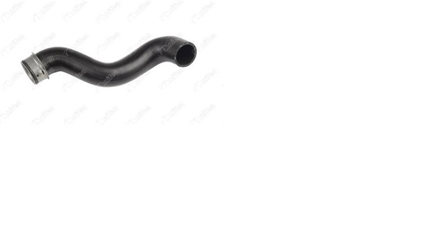 RADYATOR CIKIS HORTUMU