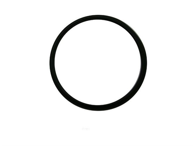 YAKIT DEPO KAPAK ORINGI VECTRA - C