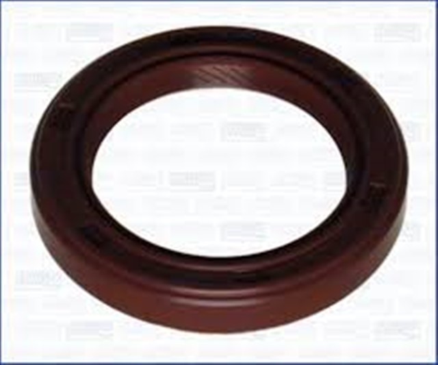 RADYATOR HORTUMU UST CLIO II KANGOO 1.9 DCI 99 -   IBRAS oto yedek parça