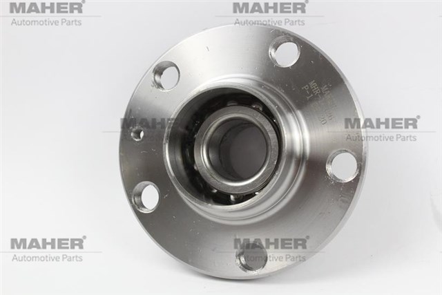 PORYA ARKA POLO - CORDOBA - IBIZA - FABIA 01 - 