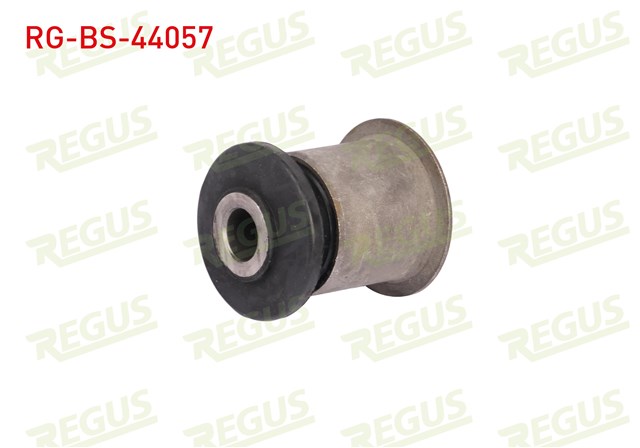 SALINCAK BURCU ON T4 - T5 - T6 91 - 03