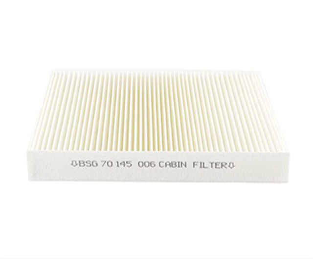 POLEN FILTRESI 307/308/C2/C3/C4/DS4 B.M 03 -   BSG oto yedek parça