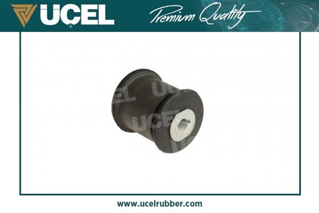 DINGIL BURCU ARKA SAG T5 - T6 04 - 